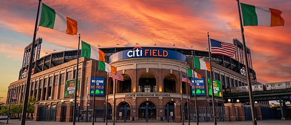 Night at the Ballpark